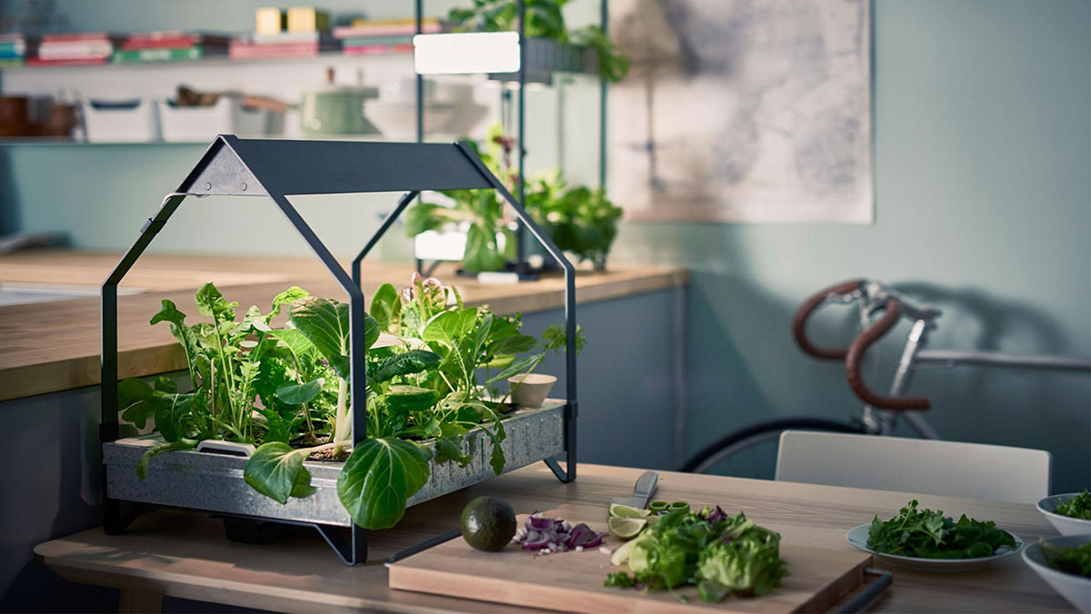 Idee green che ti cambieranno la vita