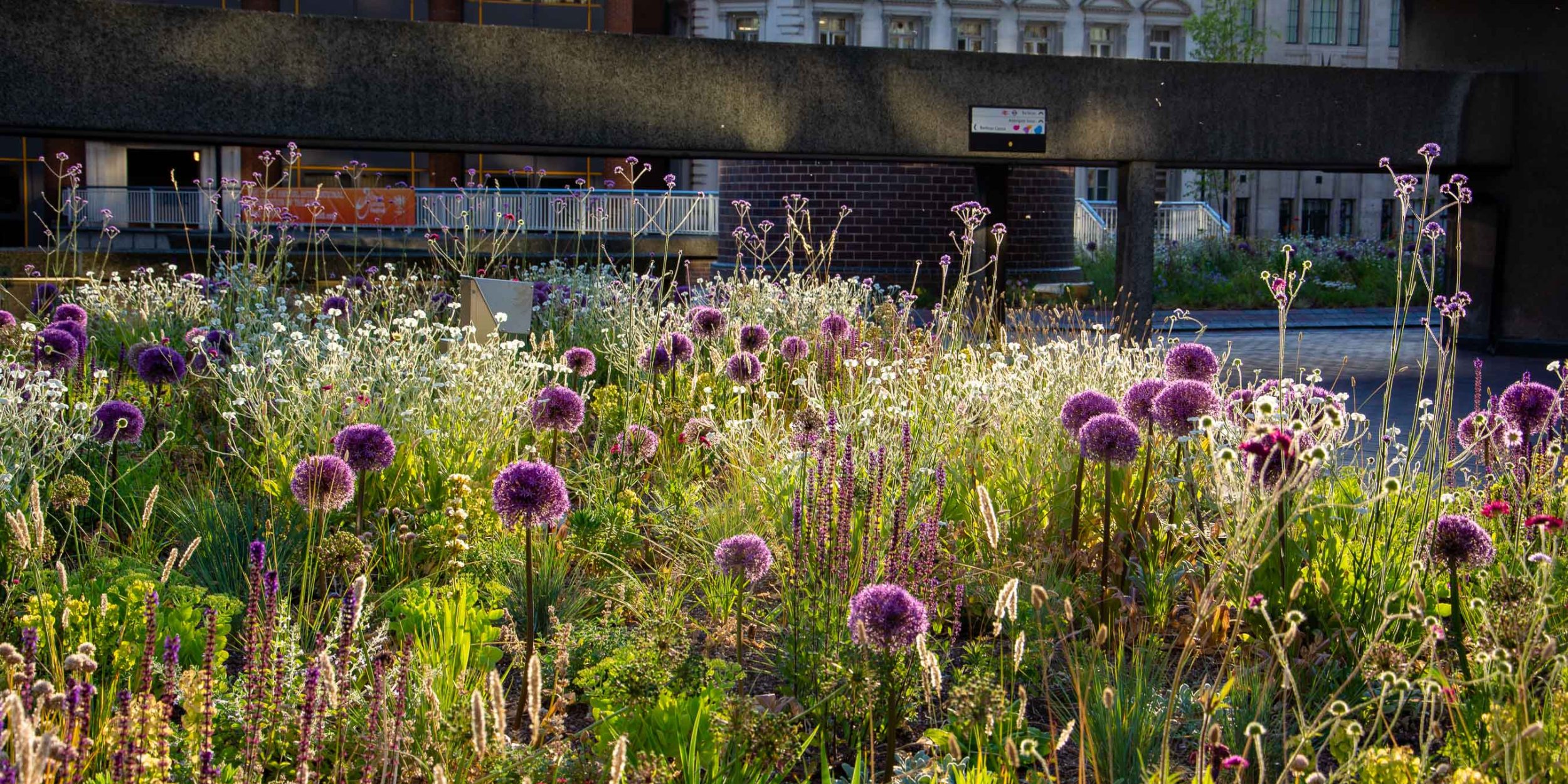 Il Garden design