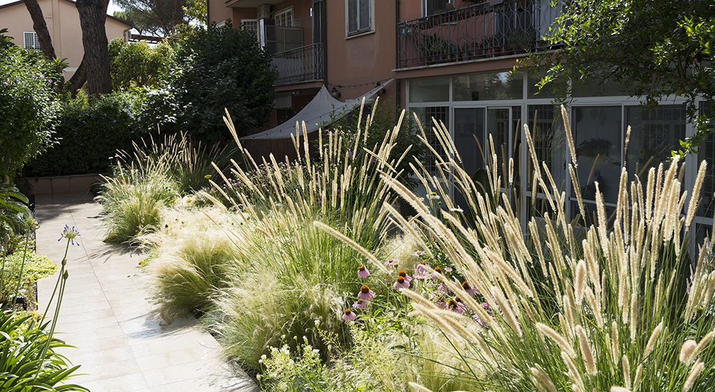 giardino10