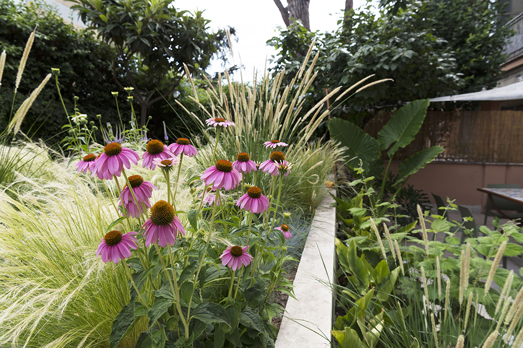 giardino7