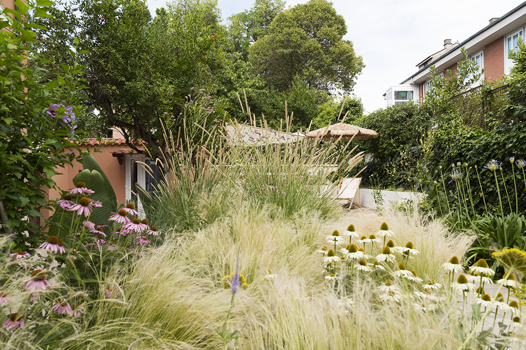 giardino8