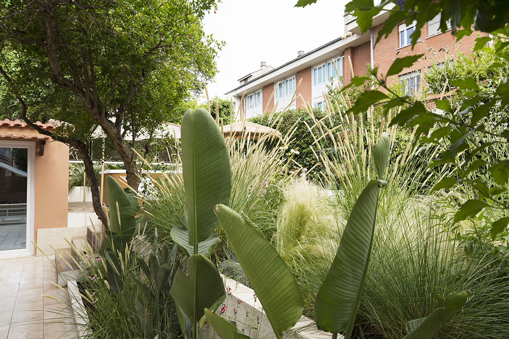giardino9