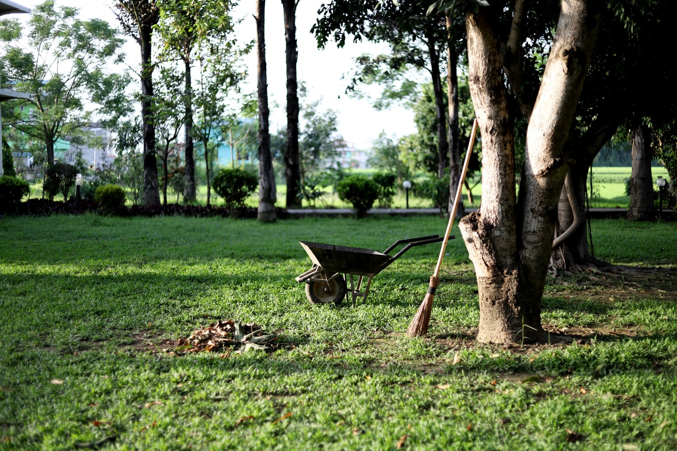 GIARDINO3