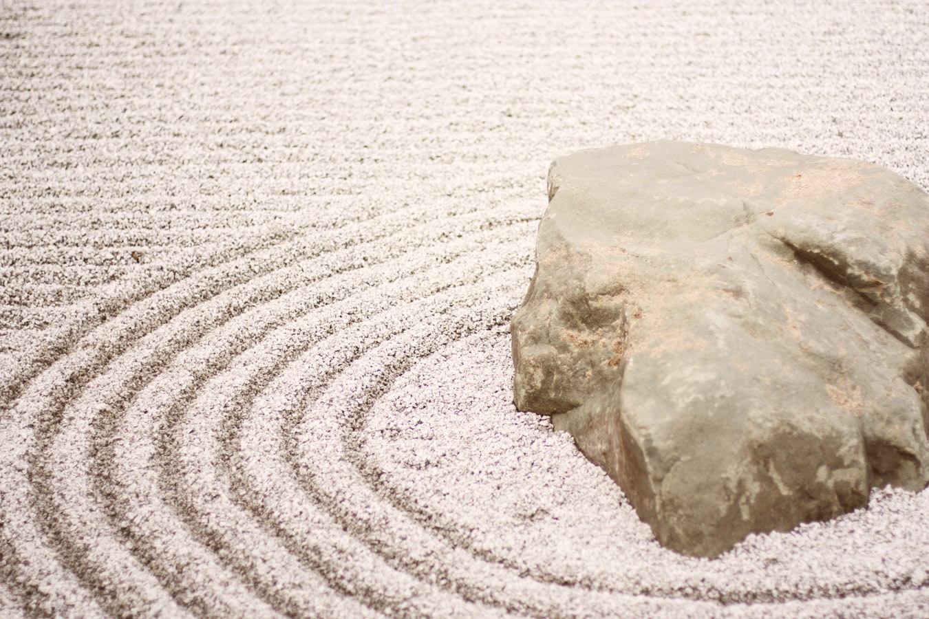 giardino zen 4