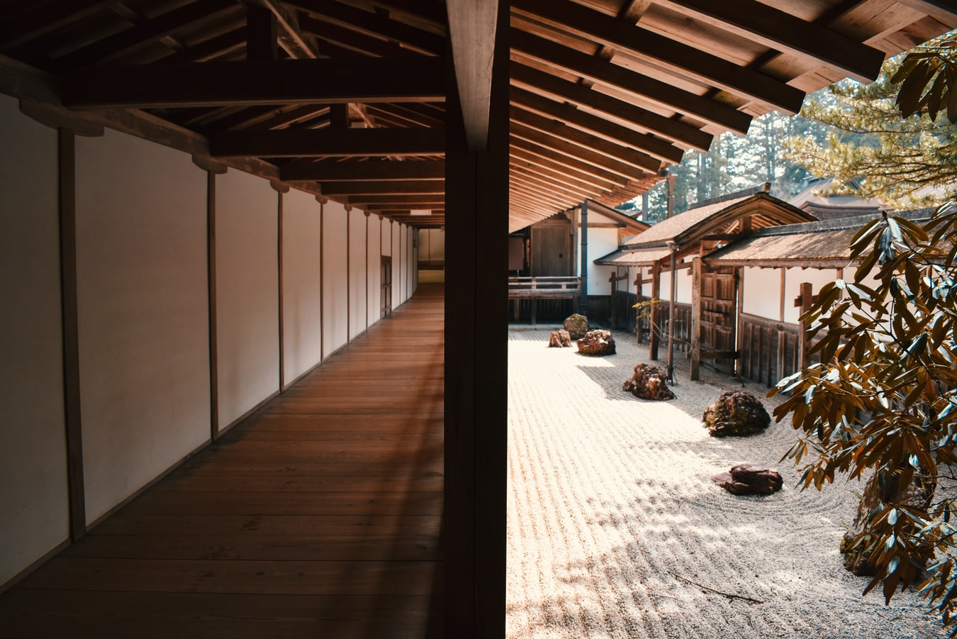 giardino zen 5