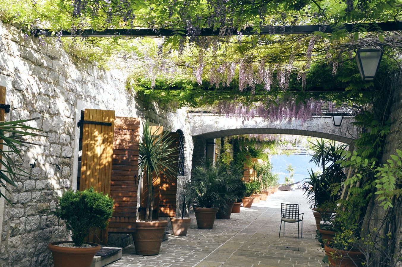 giardino 11
