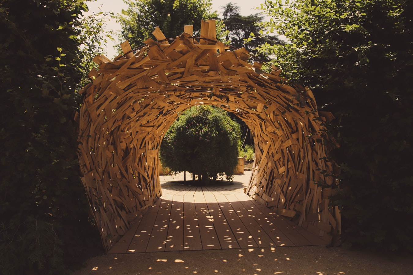 giardino 3