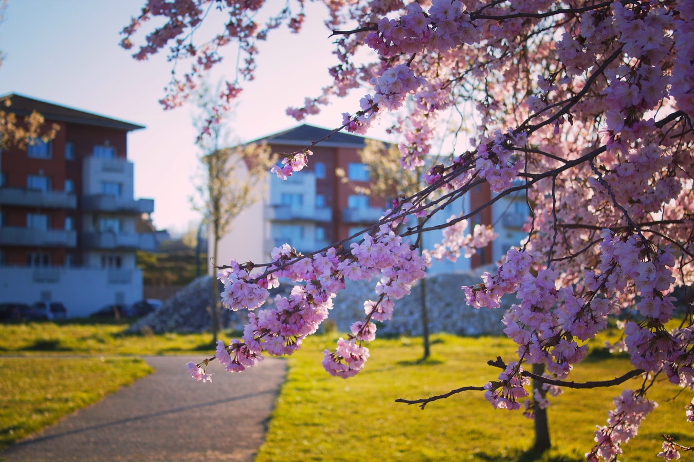 SPRING 2