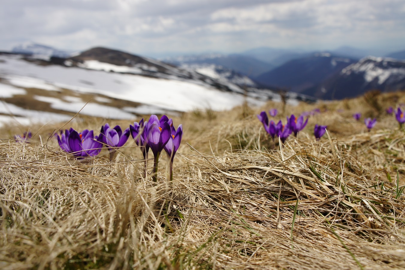 SPRING 5