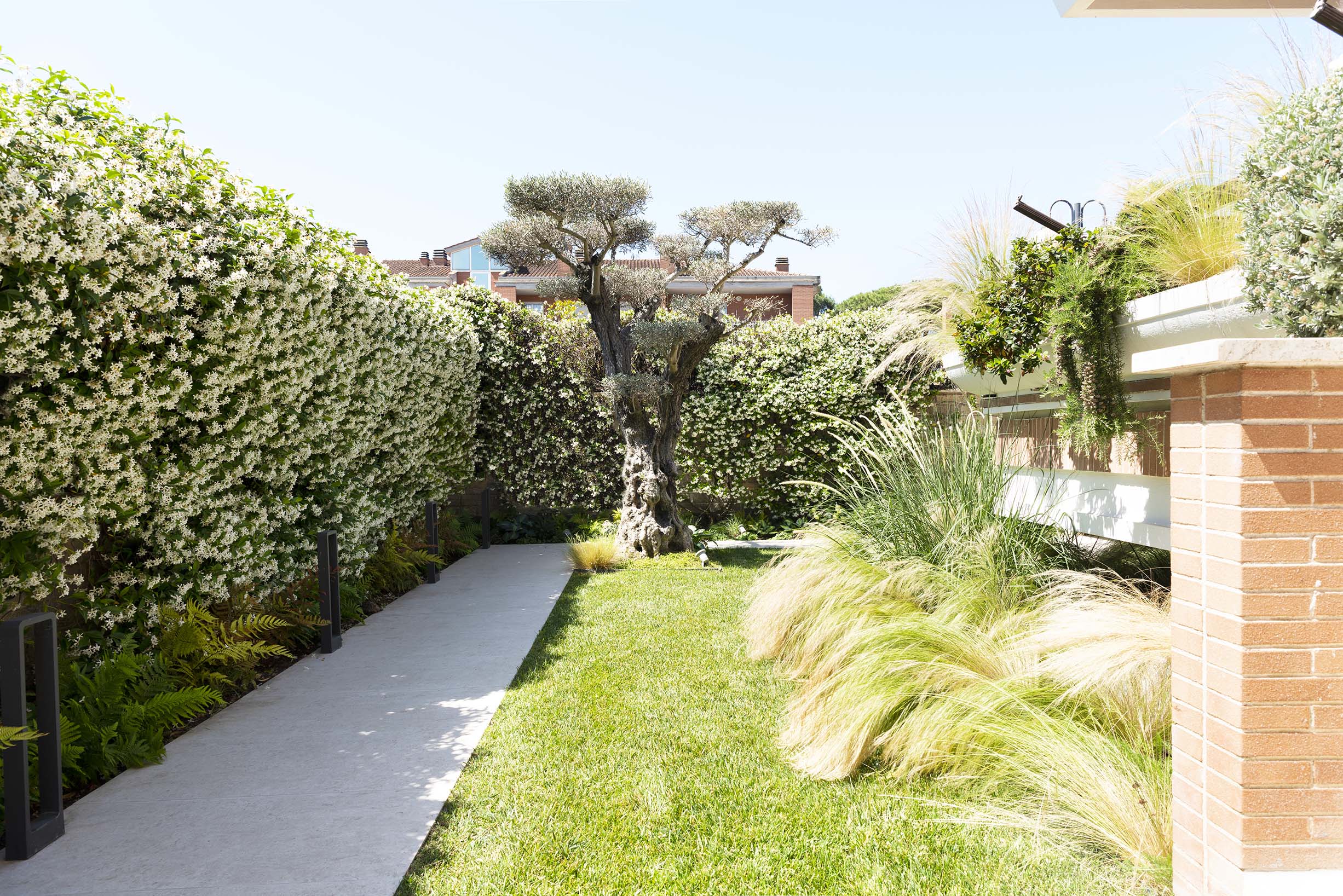 giardino