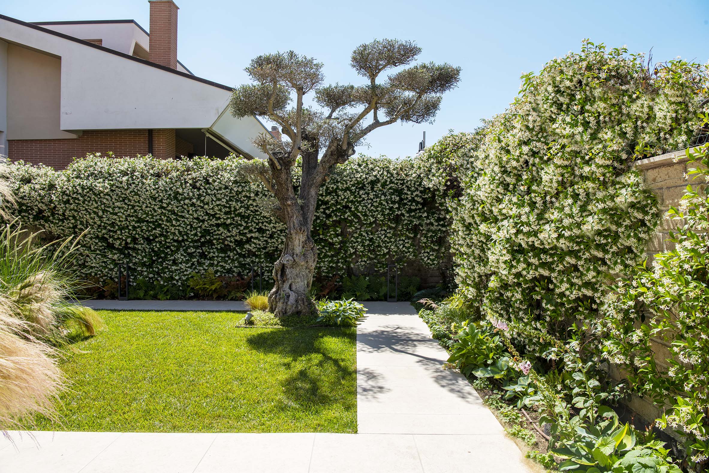 giardino10